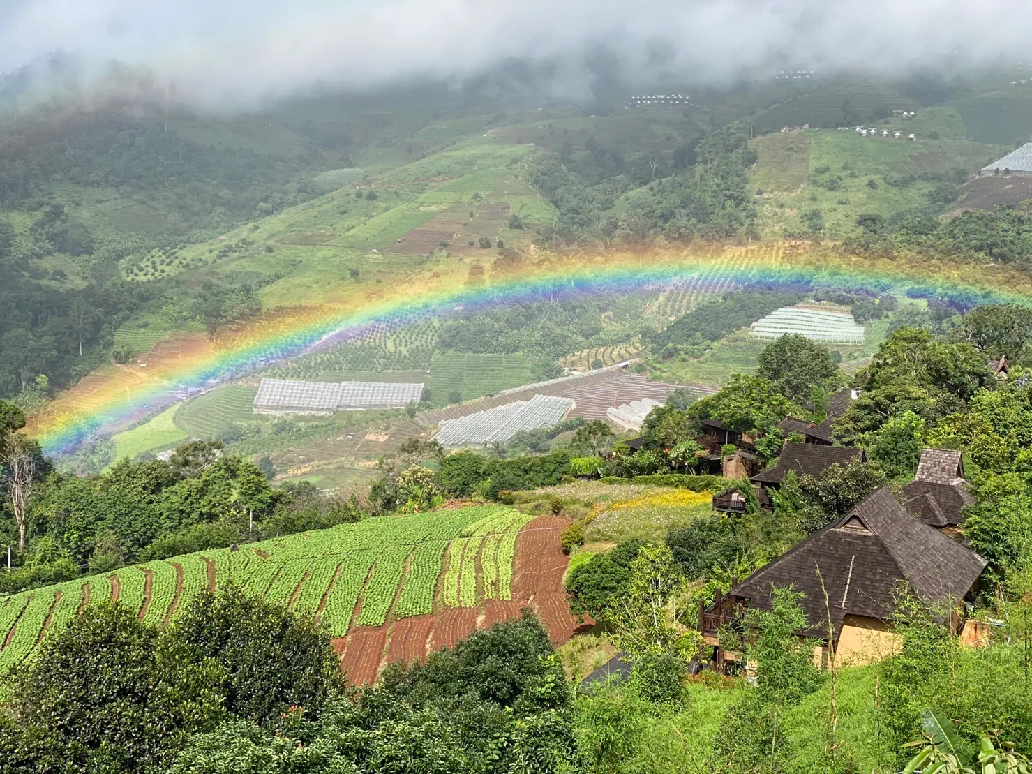 Veggies Farm Valley panoramic view