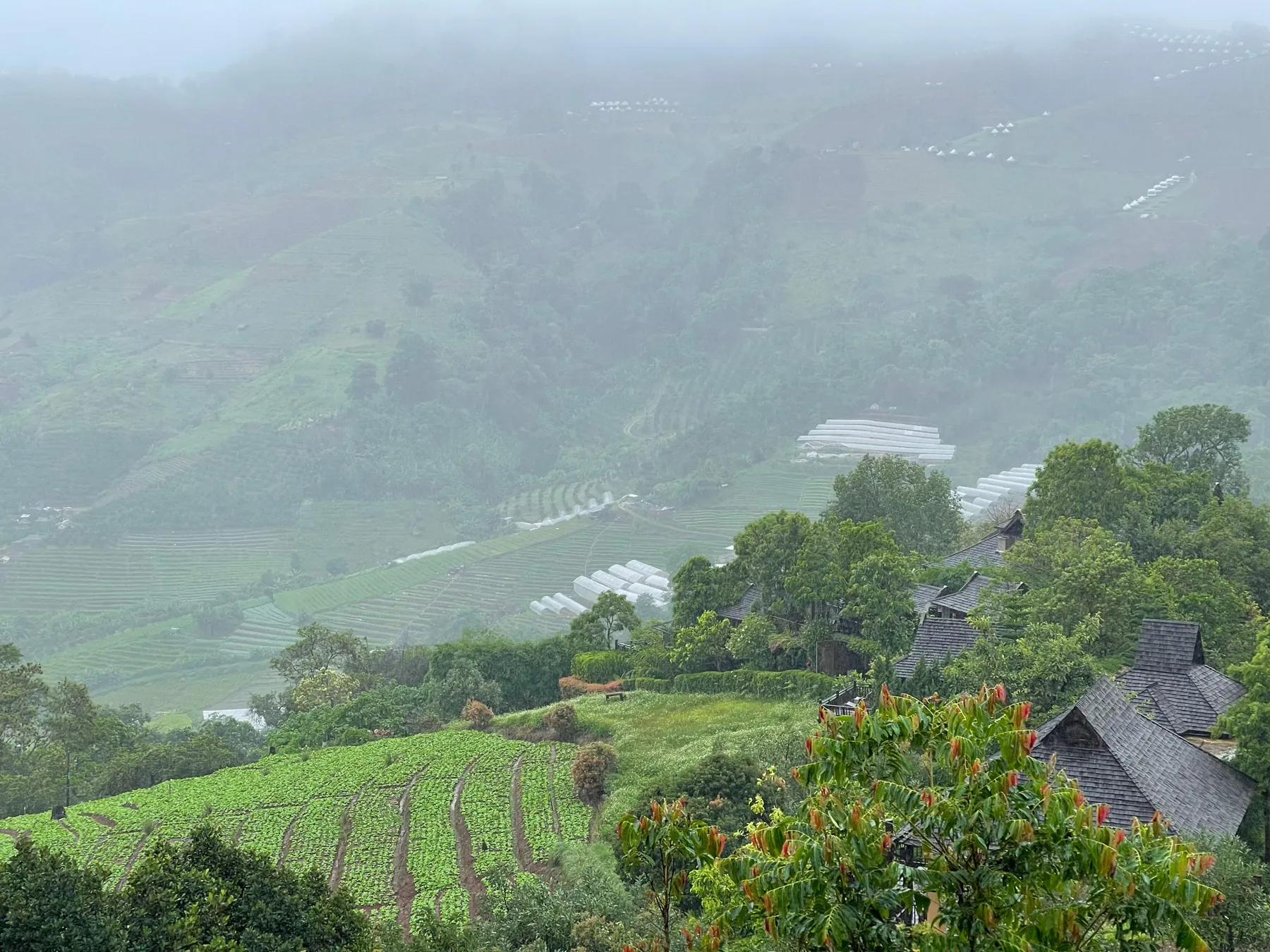 Garden Mountain panoramic view