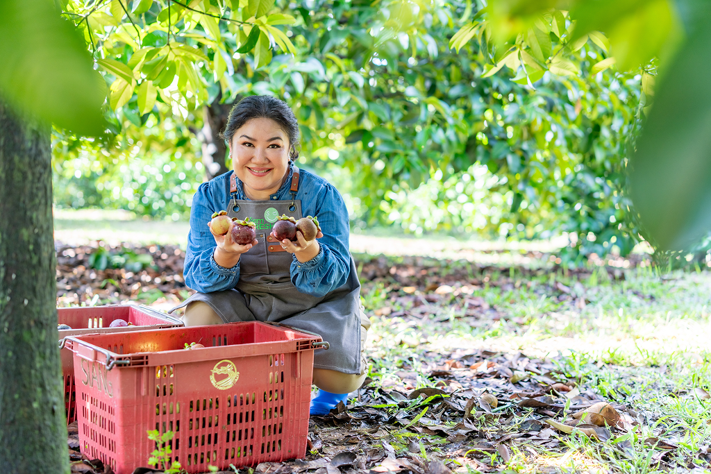 Siam Fresh ทำงานร่วมกับเครือข่ายเกษตรกรและคู่ค้า เพื่อพัฒนาผลไม้ไทยคุณภาพจากต้นทางสู่ตลาดโลก