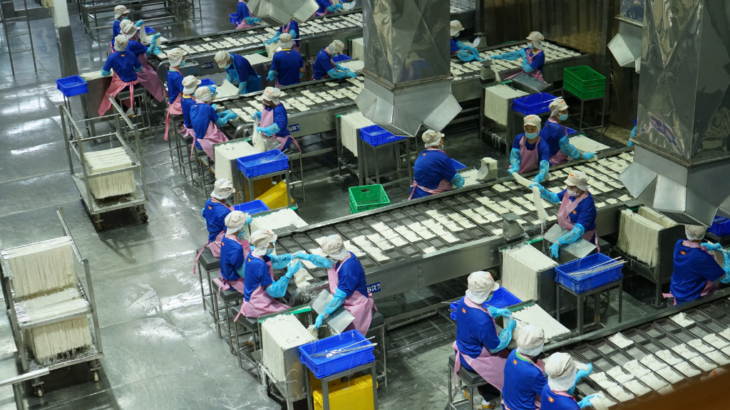 Rice Vermicelli Production Image