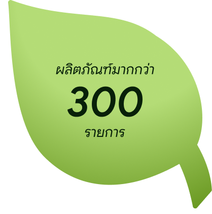 ผลิตภัณฑ์มากกว่า 300 รายการ