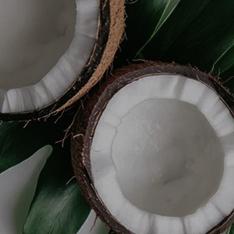 Coconut