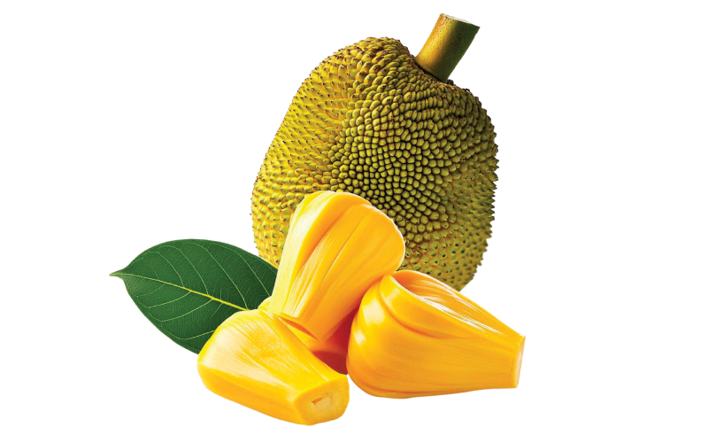 Premium jackfruit