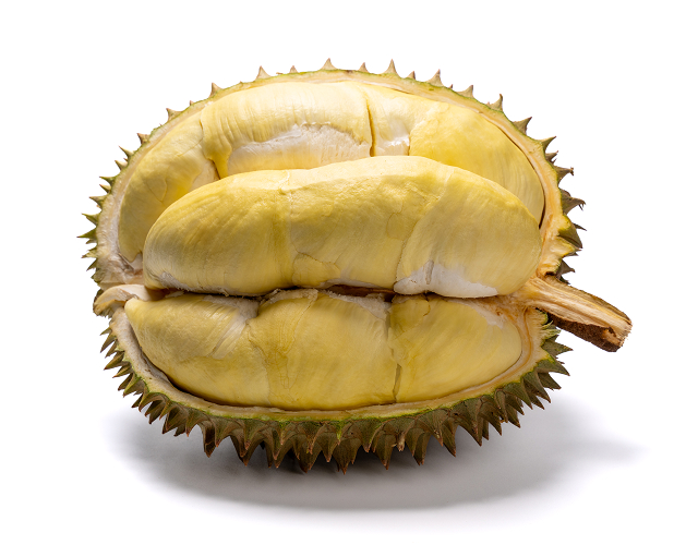 Premium Monthong durian close-up