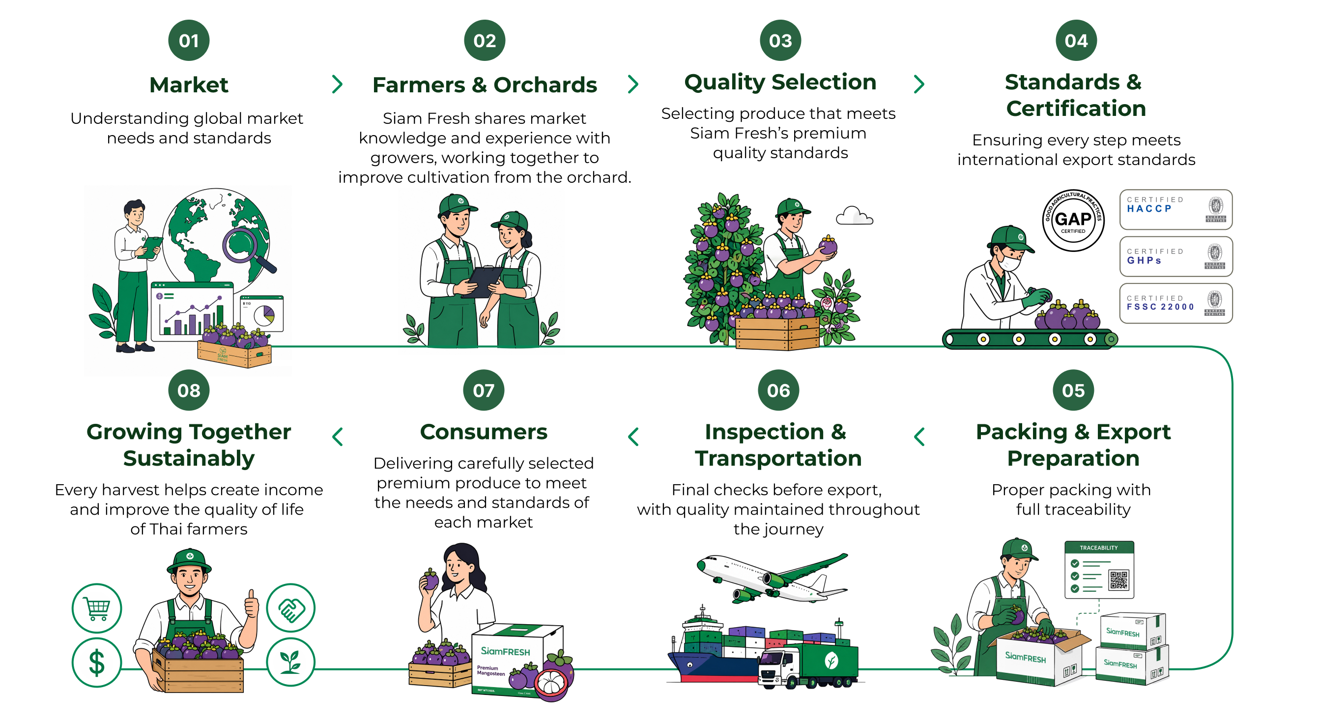 Infographic