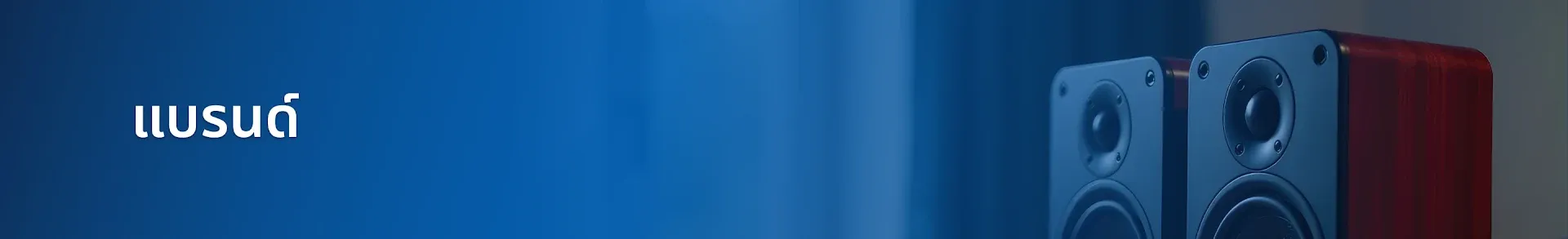 brand-banner