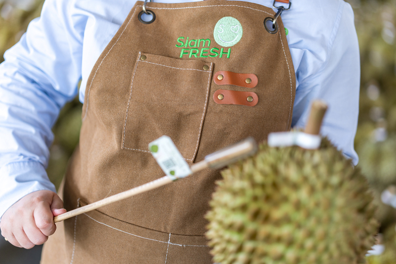 Siam Fresh team presenting premium Thai fruit